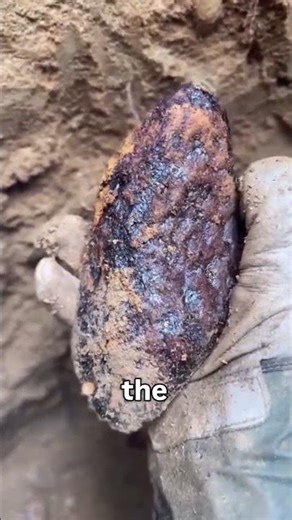 This Meteorite Is Older Than Our Planet🤯(Wait Till You See Inside)