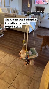 38K views · 283 reactions | The cutest, bounciest baby. 凉 | News.com.au | Facebook