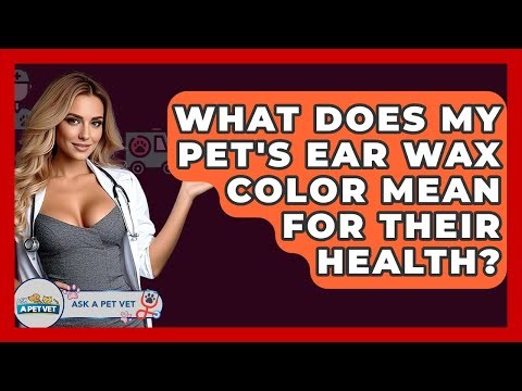 What Does My Pet's Ear Wax Color Mean For Their Health? - Ask A Pet Vet