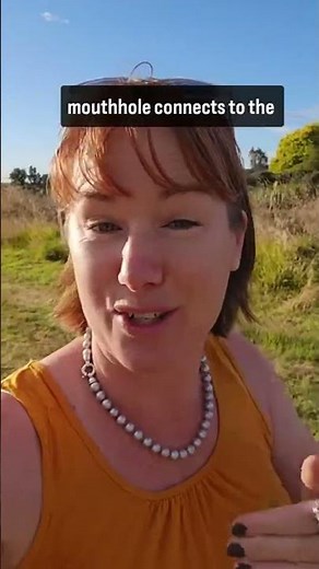 Ever heard of a caccoon made of poop? Well listen up for today's bee fact 😎🤢 Bees start their