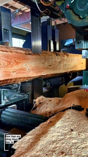 INDUSTRIAL BAND SAW MACHINE! Transforming Logs into Smooth Planks