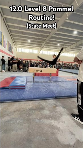 3rd Place 12.0 Pommel Routine at the 2026 Oklahoma State Meet! #competition #gym #shorts #sports