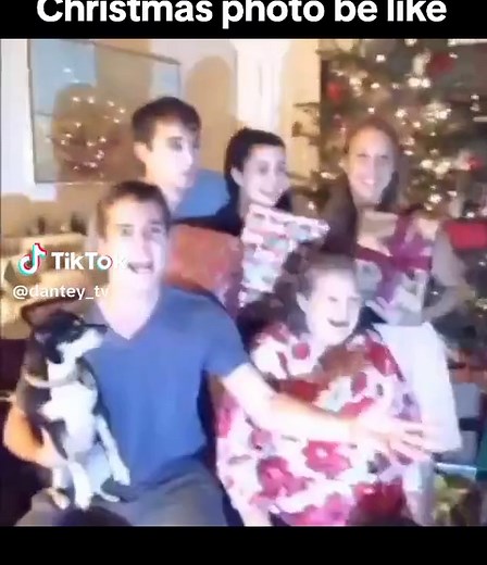 Funny Vine Clips: Best Moments and Laughs