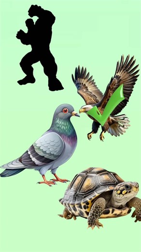 Hulk Vs birds #shorts #cartoon #vfx #fyy #aa23