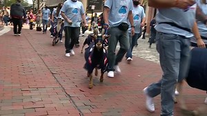 35K views · 1.2K reactions | You can't have the GOAT Bowl without a GOAT parade! ❤️ A day before Tom Brady & the Bucs take on Bill Belichick & the Pats, a herd of goats dressed in Patriots jerseys were paraded through downtown Boston to commemorate the monumental matchup. https://bit.ly/3A3Pugf | WCVB Channel 5 Boston | Facebook