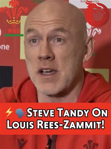 Steve Tandy on Louis Rees-Zammit's Full-Back Role