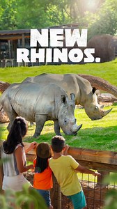 64K views · 198 reactions | Zoo Knoxville on Reels | Facebook