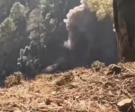 Basantgarh €ncounter #update | Udhampur News Post