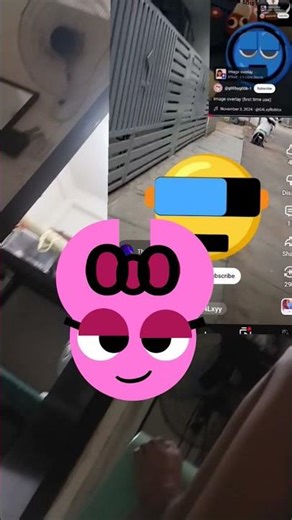 image overlay(First time use)