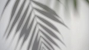 背景 装饰性的 自然 - Free video on Pixabay