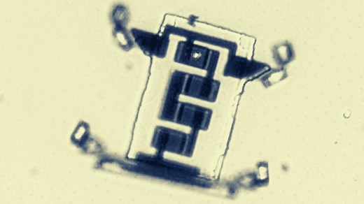 Scientists create a microscopic robot that ‘walks’