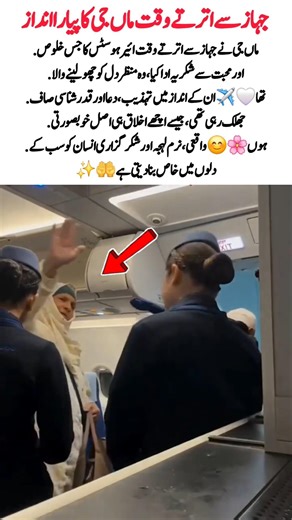 Old woman Love# Air Hostees#Getting off the plane#Real beauty#Youtube shorts#Love#Shorts#