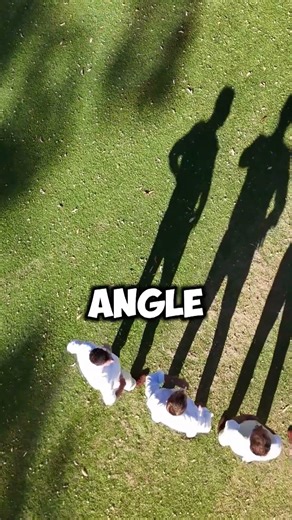 Why Shadows Move 👤🌞||#sciencefacts #physicsfacts ‪@VerifexFacts‬