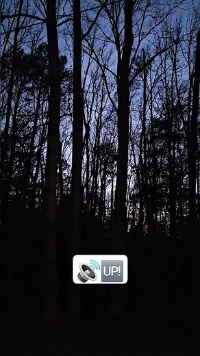 sounds of spring! #peepers #nature #frogs