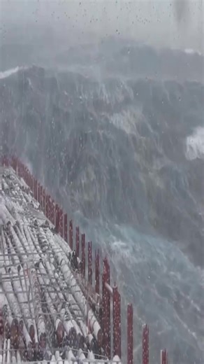 35K views · 1K reactions | Merchant Navy life is not easy, as you know. ‍ #merchantnavy #seaman #sailor #seamanslife #mariners #seamanslifeonboard #lifeatsea #ship #ocean #seafarerslife #seafarer | Seaman Worldwide | Facebook