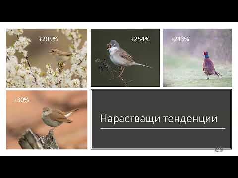 Състояние на широкоразпространените видове птици в България 2005–2022 г.
