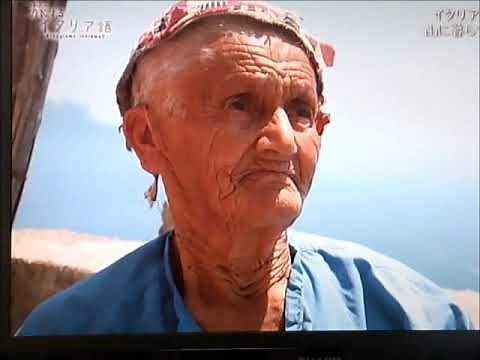 ニューシネマパラダイス2018