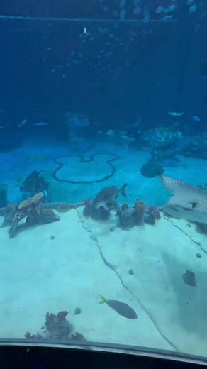 7.8K views · 209 reactions | Hidden Mickey at The Seas with Nemo and Friends! #epcot #pixar #findingnemo #disneyworld | Chip and Company | Facebook