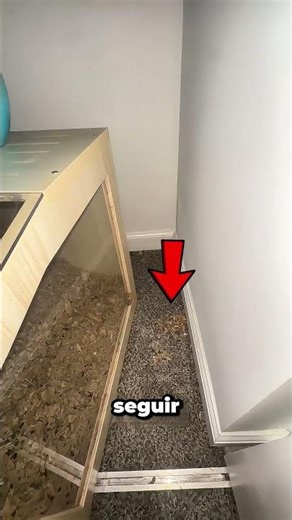 Pensó que su mascota se había escapado... pero entonces vio esto 😳