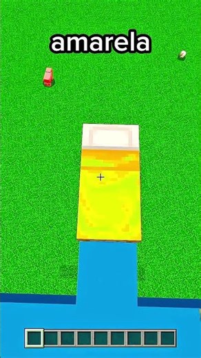 QUAL CAMA O VILLAGER VAI ESCOLHER? #minecraft