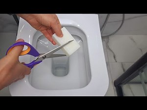 Put Soap in the Toilet to Remove and Clean the Odor / toilet bowl limescale yellowing odor cleaning