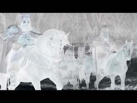 ACAB except me, duh. (This is the Police) (Day 1)