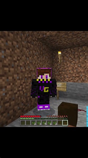 Noob bhai trolled Hacker....#shorts​ #minecraft​ #minecraftshorts​ #ytshorts​