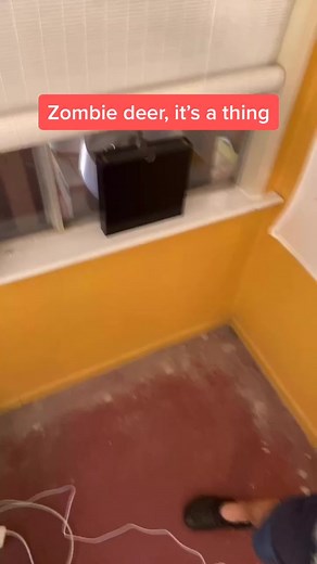 Just another weird day on 🌎 (Credit👉Reddit user “ThiccPikachuu”) #zombie #deer #zombiedeer #hunting #virus #2020