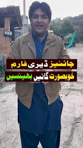 378K views · 18K reactions | Chinese Dairy Farm #buffalo #Saraiki #cows #chinesevillagelife | CWD | Facebook