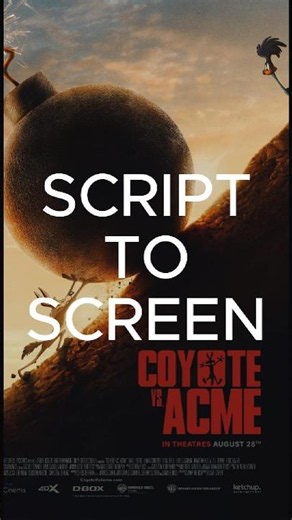 Coyote Vs. Acme |The Plot Matters, But Feelings Matter More #coyotevsacme #looneytunes