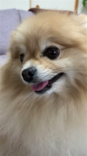 マフィンマッサージでニコニコ☺️🧁