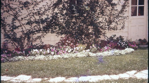 How to Design the Perfect Backyard Escape