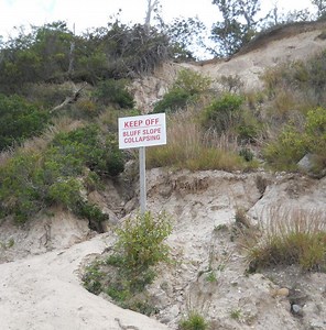 Wildwood State Park to Reopen Friday