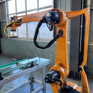 [Hot Item] Automatic Industrial Robot Palletizer Robot Arm Bag Box Pallet Palletizer