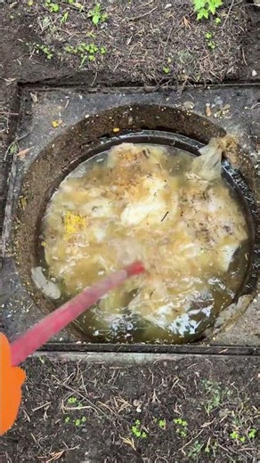 Plunger for the win 💪 #plumbing #drainage #satisfying