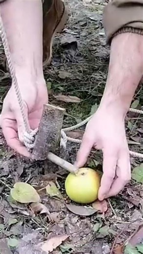 This primitive trap saved my life in the wild #education #creativesurvival #survuval #outdoors