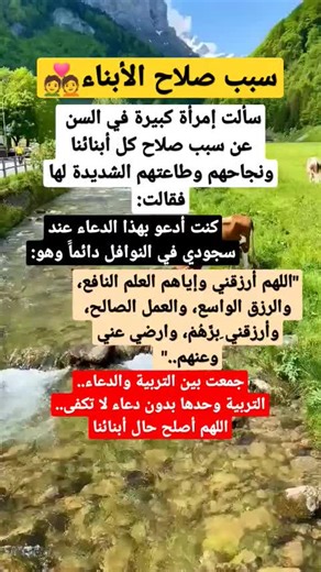 Exploring the Lush Landscapes of Minarets