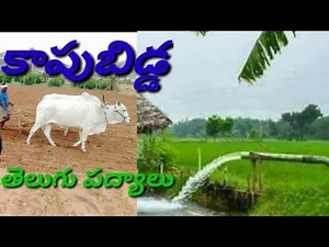 Kapubidda,కాపుబిడ్డ | #8thclass Telugu lesson | telugu padyalu | PADYAPARIMALAM TV