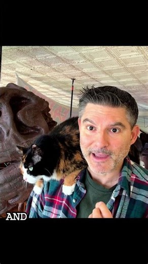 ODC: How Entropy Creates Life Explained #shorts