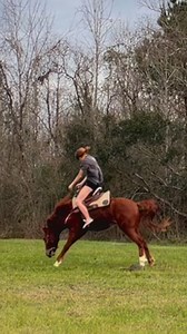 me more cowboy than you😆 | Destane Findley