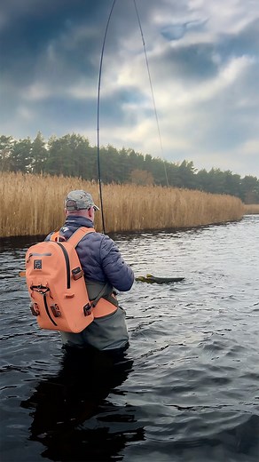 Fly fishing for pike in the shallows. A cast tight along the reed edge... A wake behind the fly... Then—boom!—a savage strike. Rod lifts, water explodes. This is predator fishing at its finest😀 #pikeflyfishing #itonlycountsonfly #pikeonthefly #pike | Paul Svensson