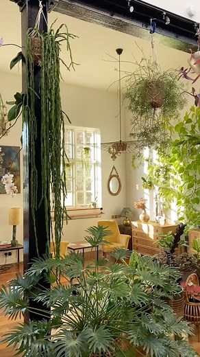 19K views · 5.8K reactions | #plantsmakepeoplehappy #urbanjunglebloggers #houseofplantlovers #homedecor #interiordesign #aesthetic | Jamie's Jungle | Facebook
