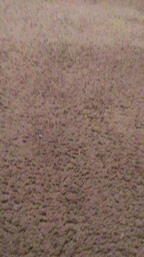 Ryan’s TikTok (@userryang)’s videos with Party Rock Anthem - The Chipmunks & The Chipettes