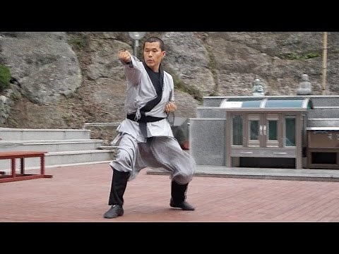 Seonmudo (Zen martial arts) (1)