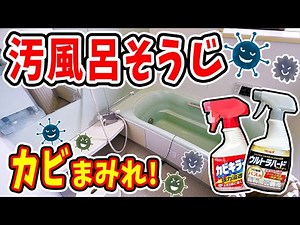 【カビ風呂】天井から床までカビにまみれた風呂掃除。水垢&石鹼カスも全部まとめて落とします‼️