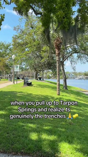 Tarpon Springs: Is it Really the Trenches? 🤔