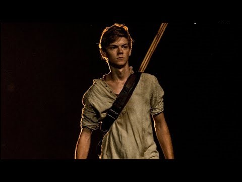 Maze Runner Book Report