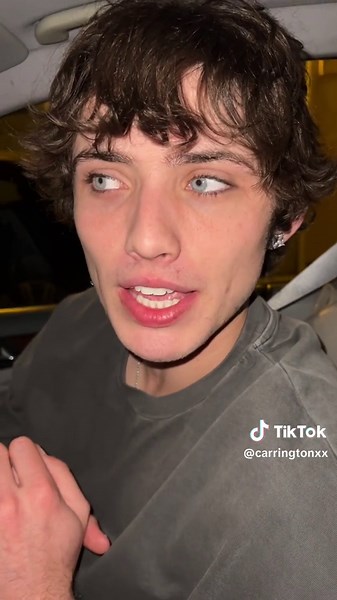 Fascinating Facts About Koalas