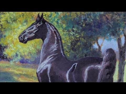 What is an American Saddlebred?