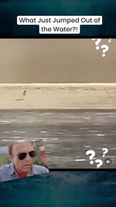 What is this? #mermaid #mermaids #Creepy #Scary #Strange #sealife #Alien #aliens #alienbff #aliensighting #aliensarereal #Area51 #innerearth #Fyp #Truth #truecosmo #Secret #secrets #for #foryoupage #foryourpage #foru #fypシ #staywoke #extraterrestres #extraterrestrial #extraterrestre #extraterrestrials #ufo #Coverup #conspiracy #conspirancytheory #conspiracytiktok #conspiracytheories #foryou #foruyou #forupage #foryoupageofficiall #bigfootsighting #governmentsecrets #fy #ET #scifi #Classified #Un